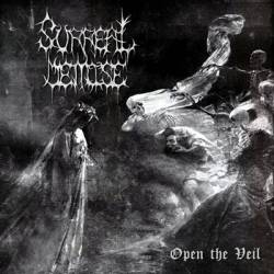 Surreal Demise (USA-2) : Open the Veil